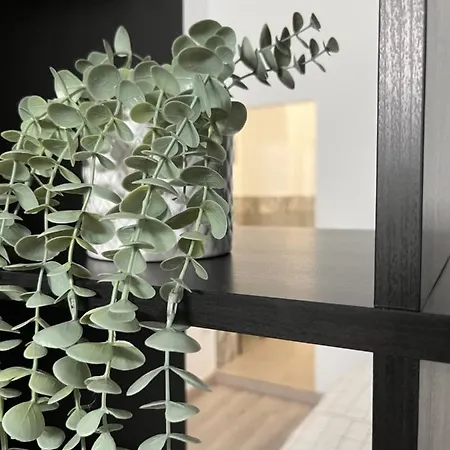 Loft By Casa De Rosita
