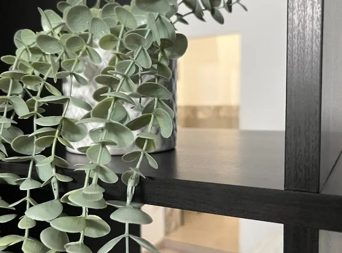 La Alcoba By Casa De Rosita At-ba-00215